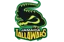 Jamaica Tallawahs flag